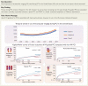 Structured Graphical Abstract