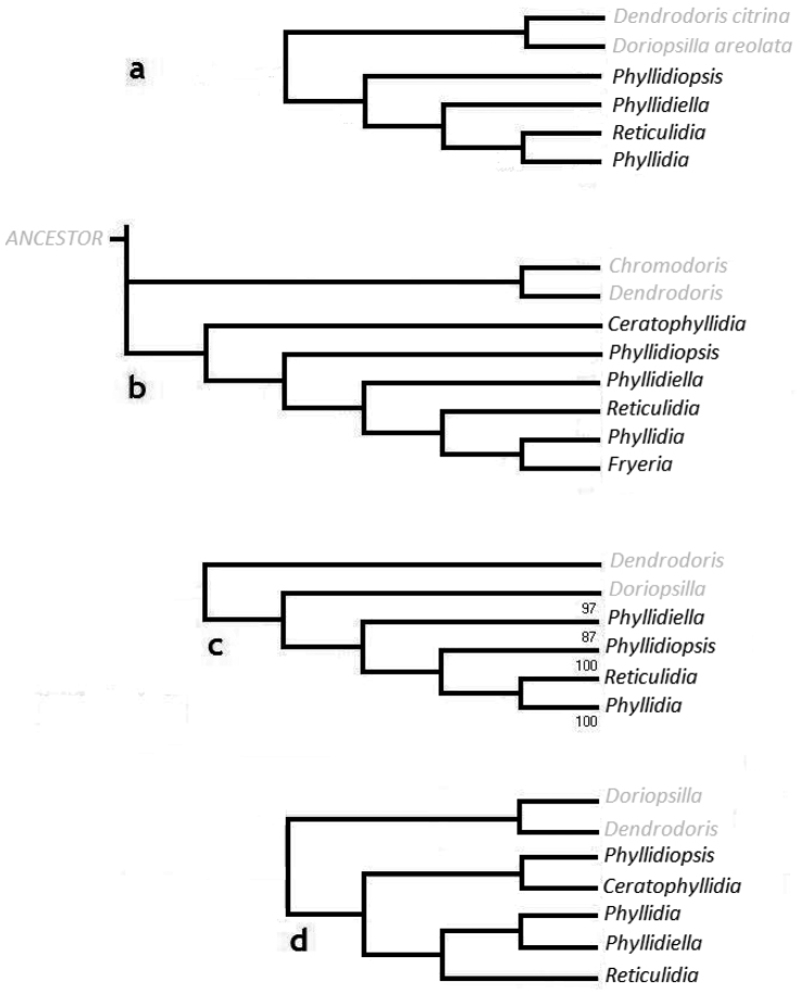 Figure 16.