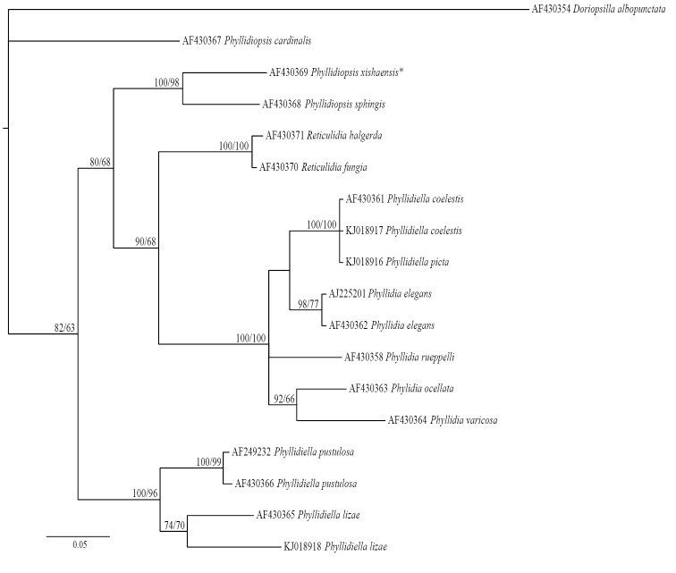 Figure 17.