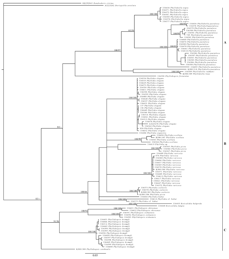 Figure 4.