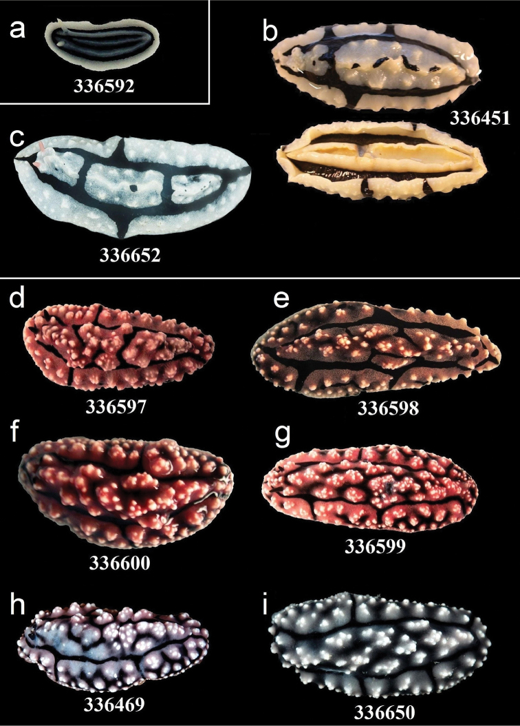 Figure 14.