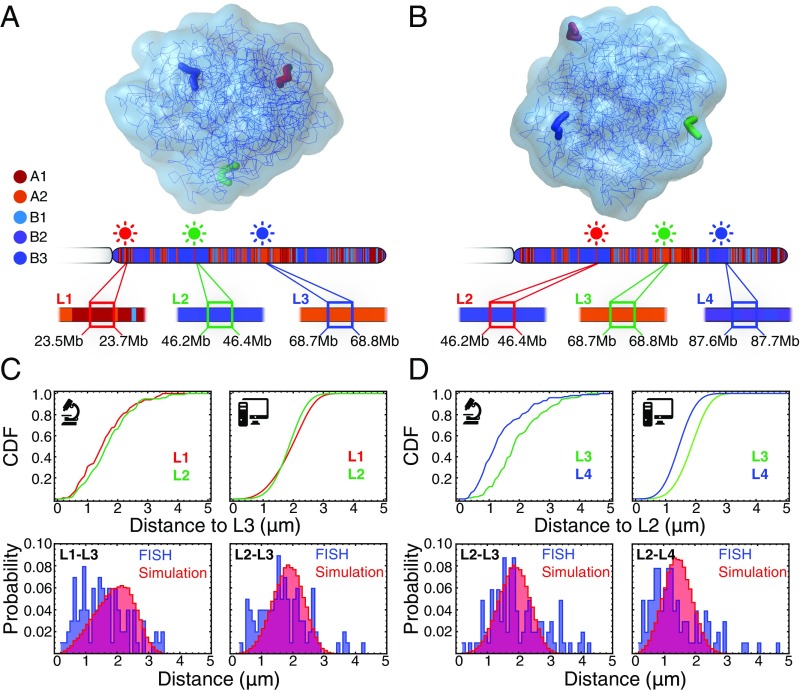 Fig. 3.