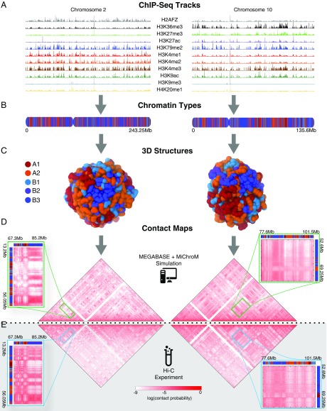 Fig. 2.