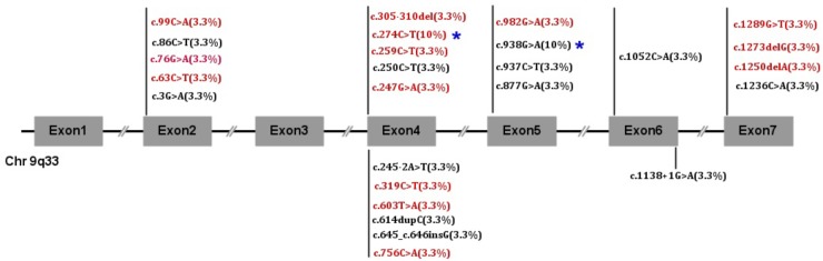 FIGURE 1