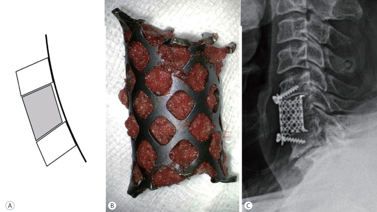 Fig. 6.