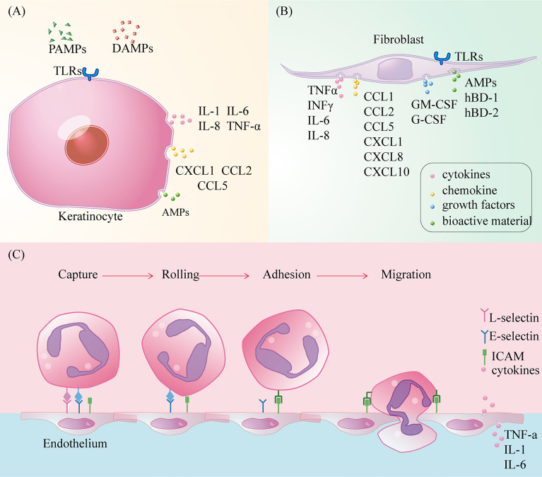 Figure 4