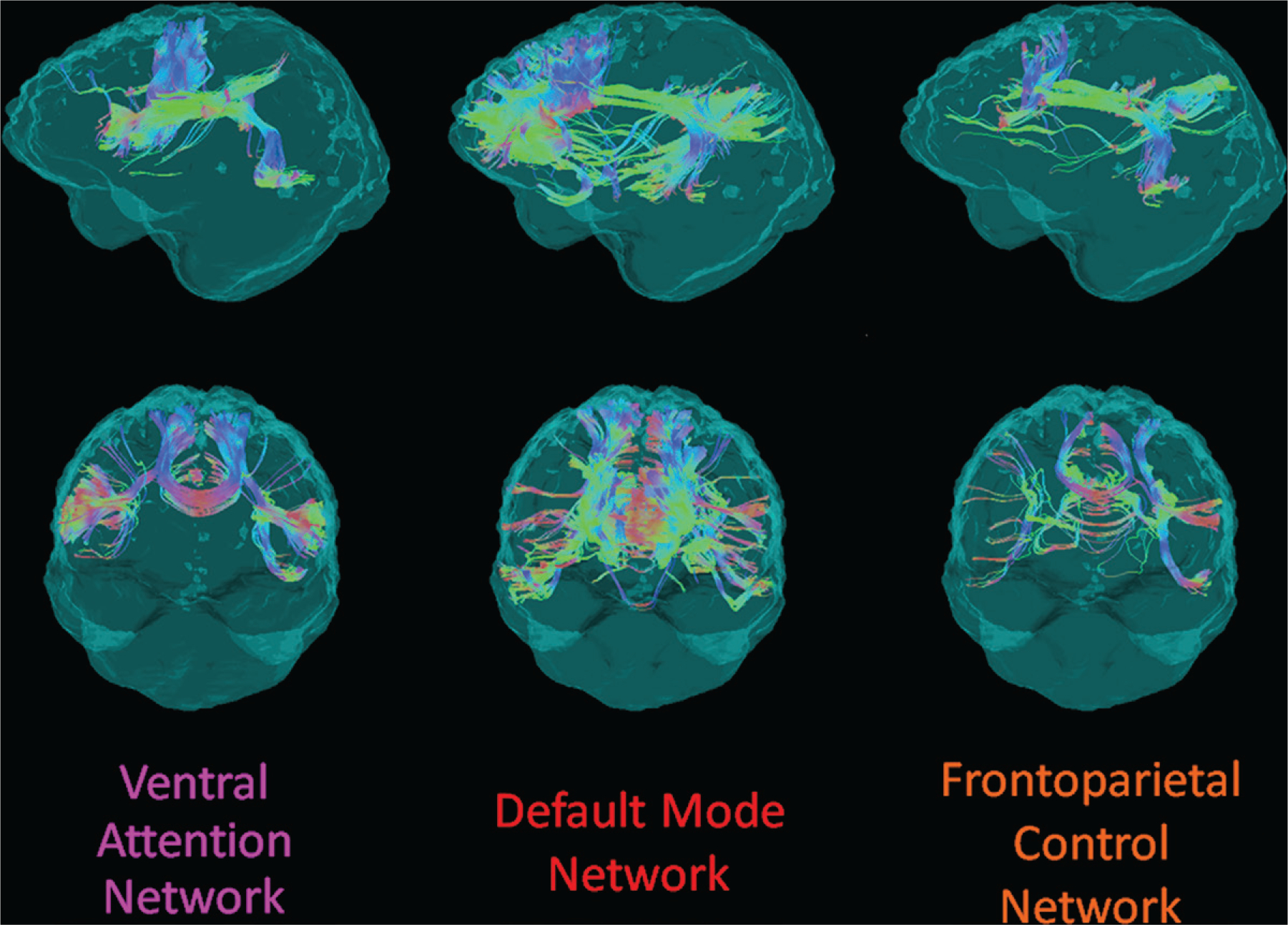 Figure 2: