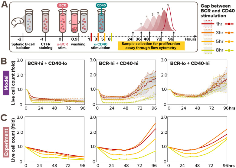 Figure 6.