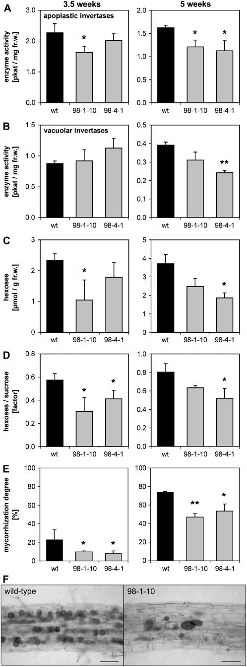 Figure 7.