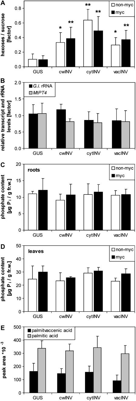 Figure 5.