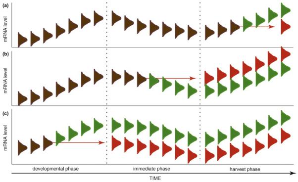 Three scenarios demonstrating the importance of the complete environmental history of the mRNA sample to measurement of gene expression level