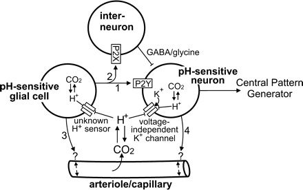 Fig. 2.