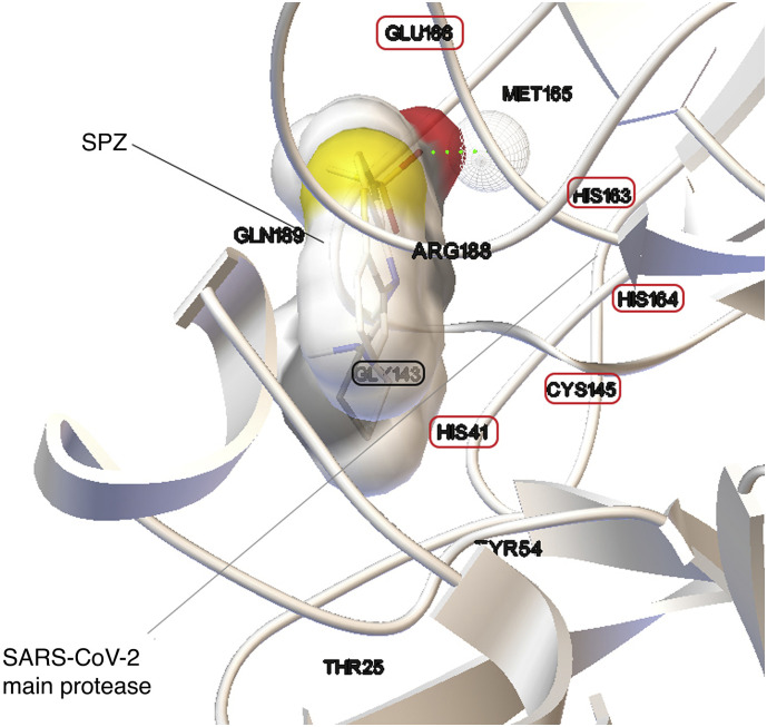 Fig. 1