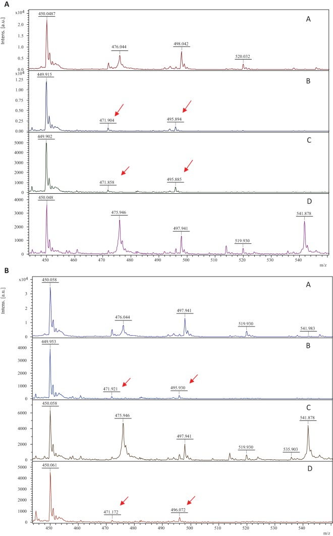 FIG 1