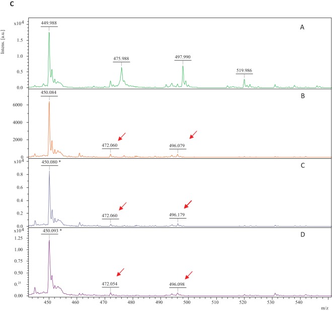 FIG 1