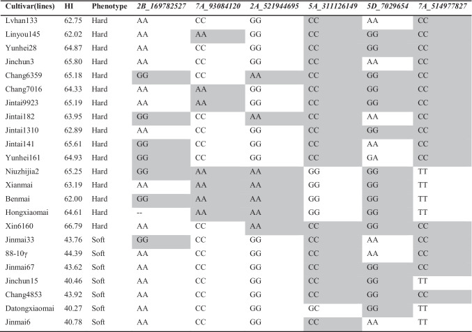 graphic file with name 11032_2022_1303_Tab2_HTML.jpg