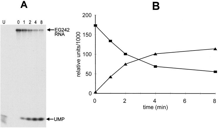 FIG. 5