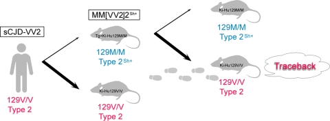 FIG. 6.