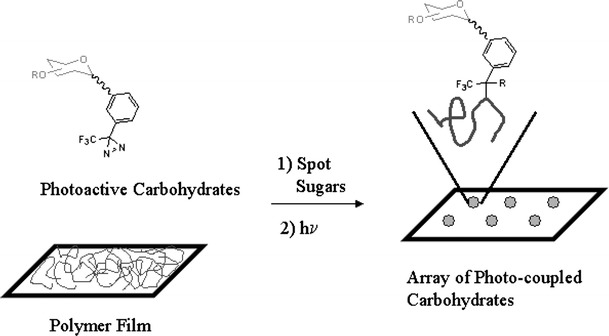 Fig. 4