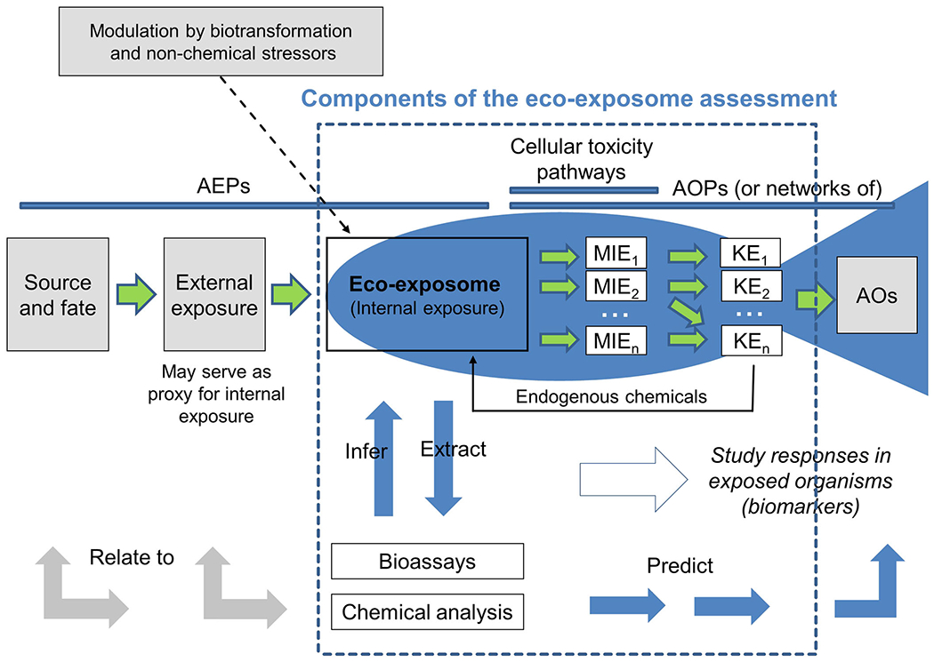 FIGURE 1: