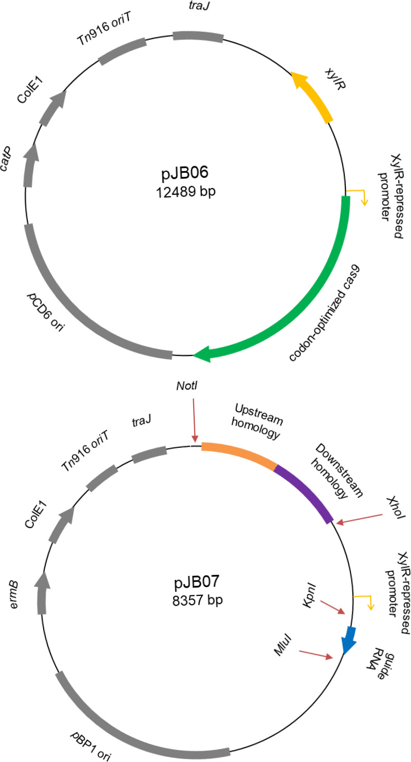 FIG 1