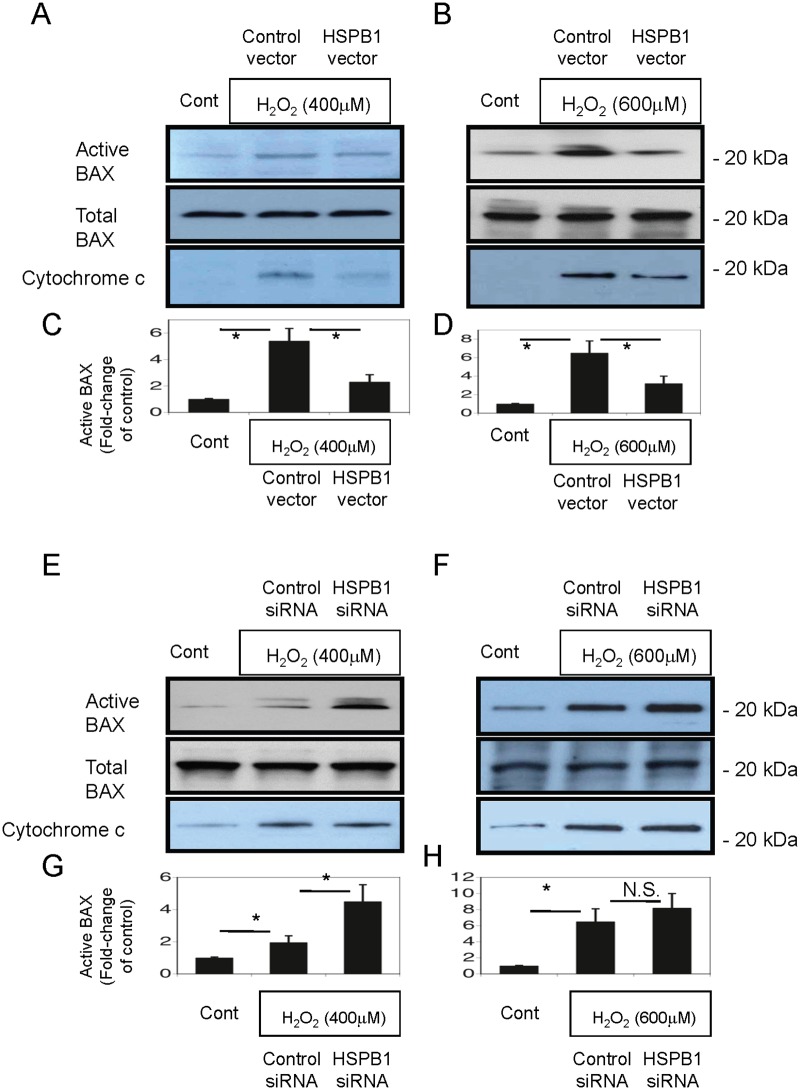 Fig 10