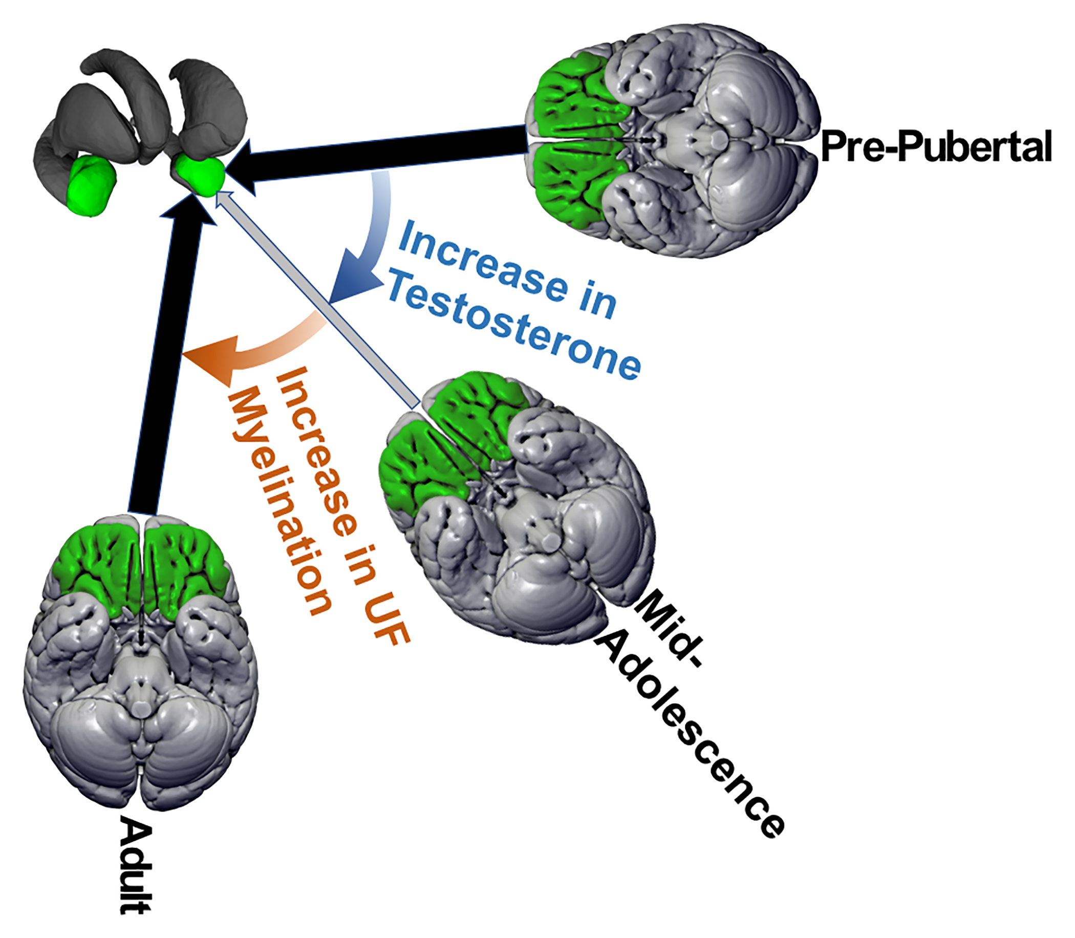 Figure 5.