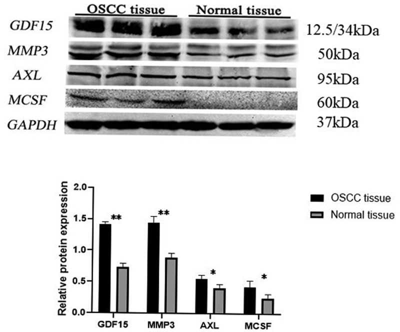 Figure 10.