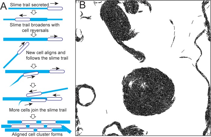 Fig 5