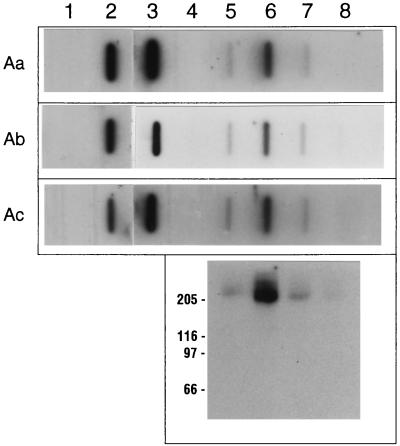 FIG. 7