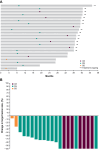 Figure 3. Best overall response of patients with pNETs. A, Swimmer plot showing duration of treatment and best response. Each line represents a patient. B, Waterfall plot showing the best percentage of change from baseline in total sum of pNET target lesions.