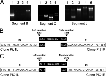 Fig. 6.