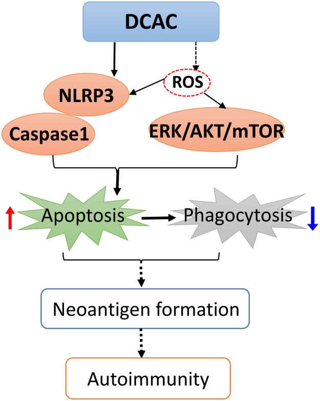 Fig 6