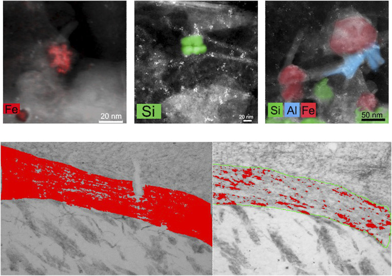 graphic file with name pnas.2008940117fig02.jpg