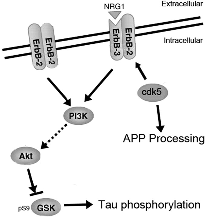 Figure 9.