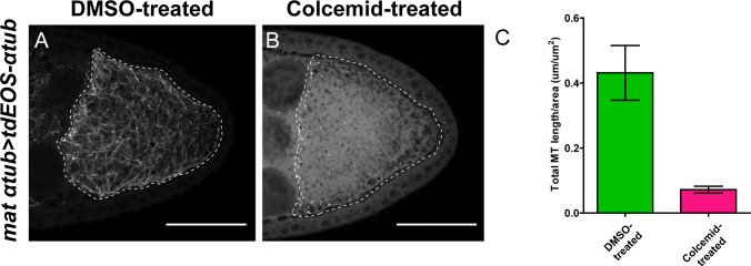 Figure 4—figure supplement 2.