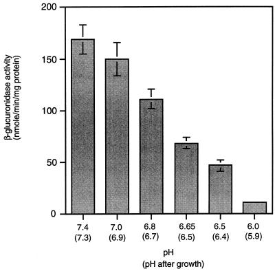 FIG. 7