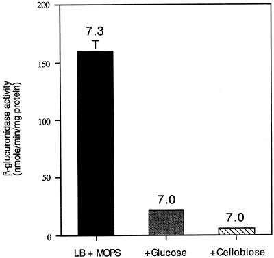 FIG. 8