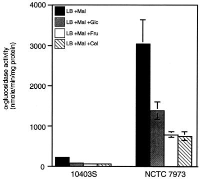 FIG. 1