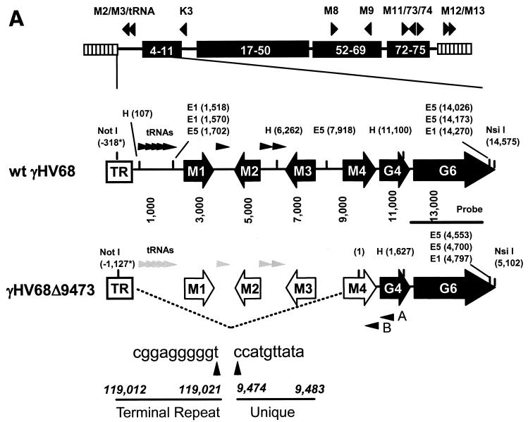 FIG.1.