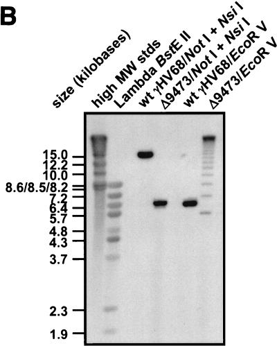 FIG.1.