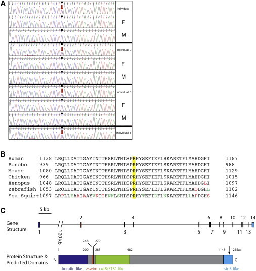 Figure 2