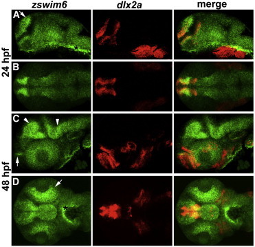 Figure 4