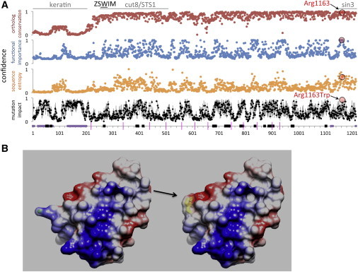 Figure 3