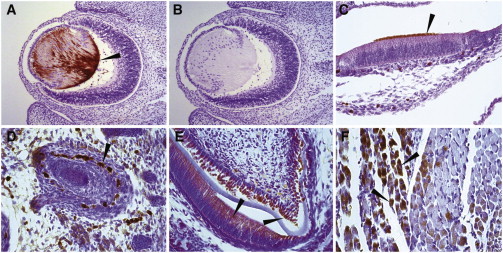 Figure 5