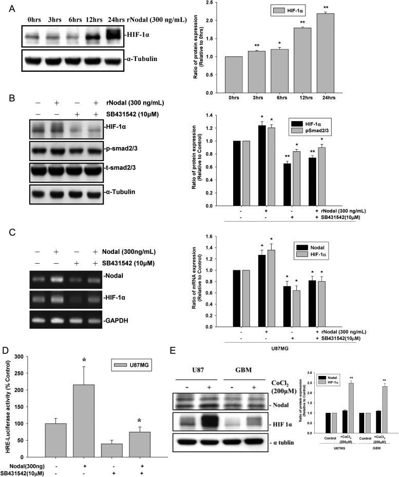 Fig. 6.