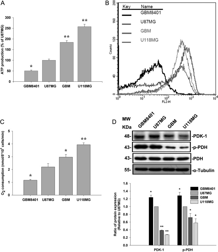 Fig. 2.