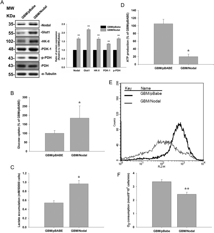 Fig. 4.