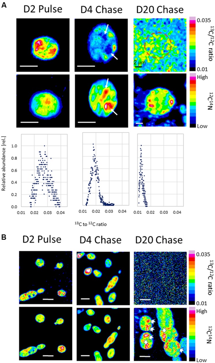 FIGURE 6