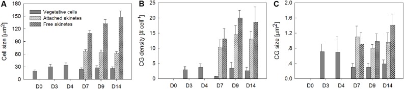 FIGURE 3